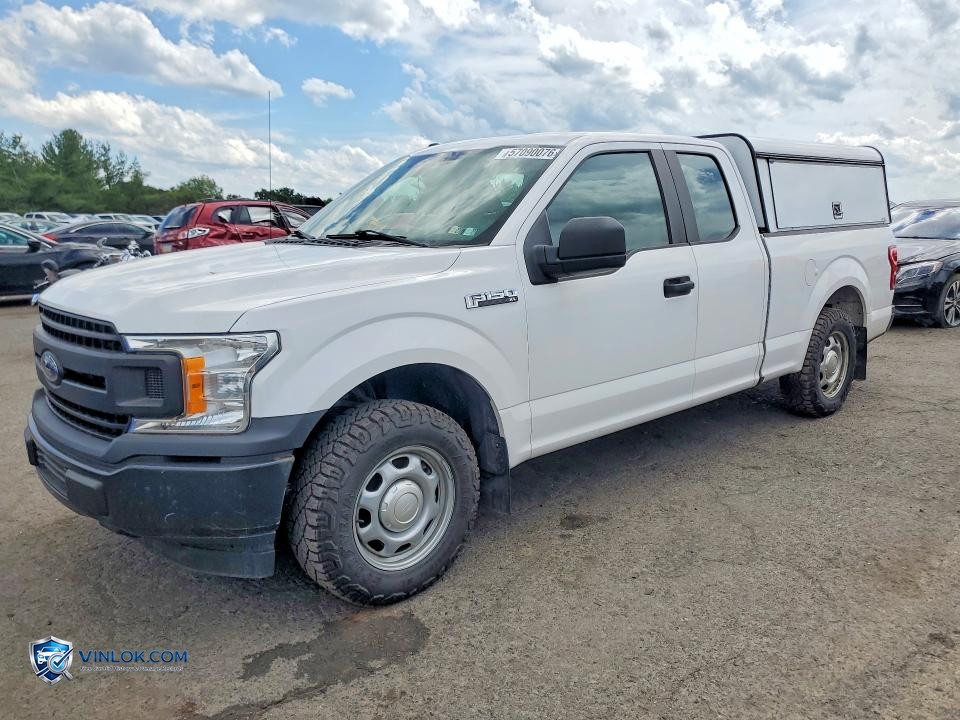 2019 FORD F150 XL – Lot 57090076 auction photo