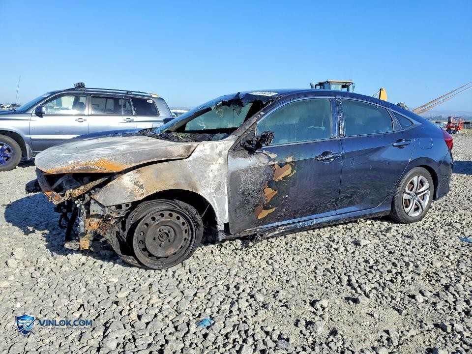 2017 HONDA CIVIC LX – Lot 57164426 auction photo