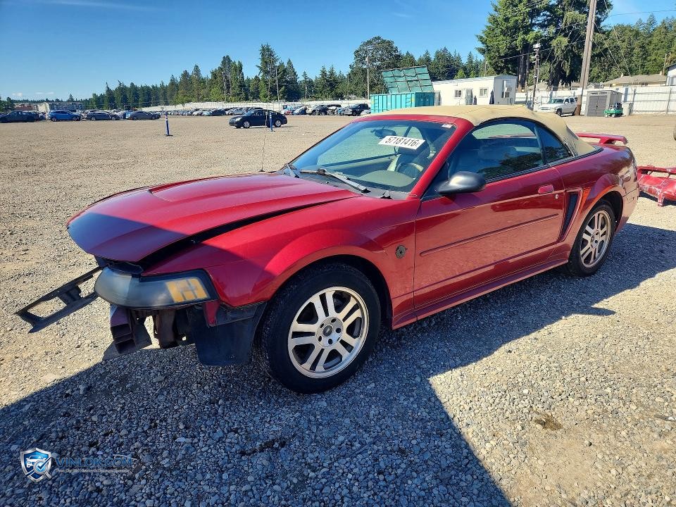 2004 FORD MUSTANG – Lot 57181416 auction photo