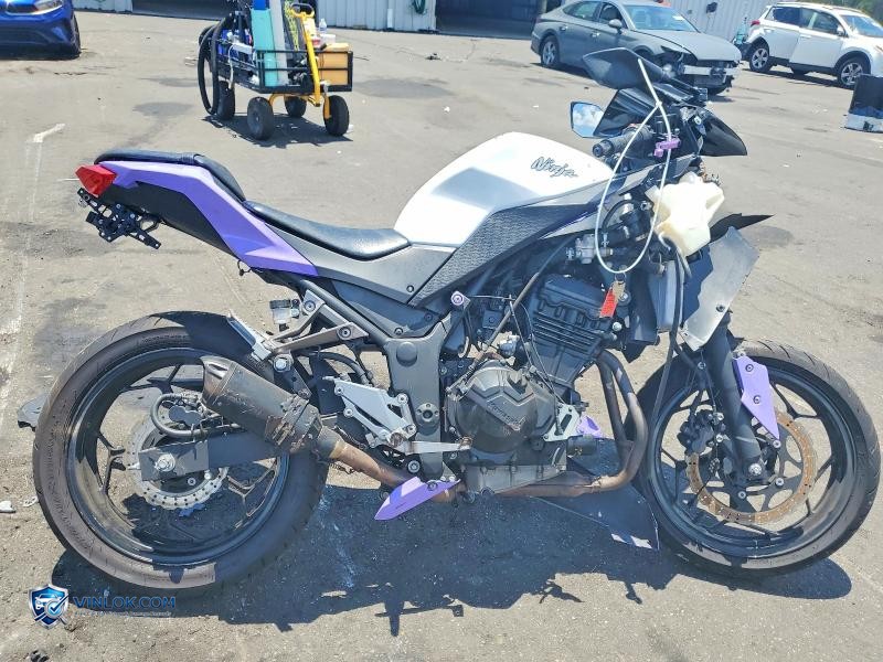 2017 KAWASAKI EX300 A – Lot 57182616 auction photo