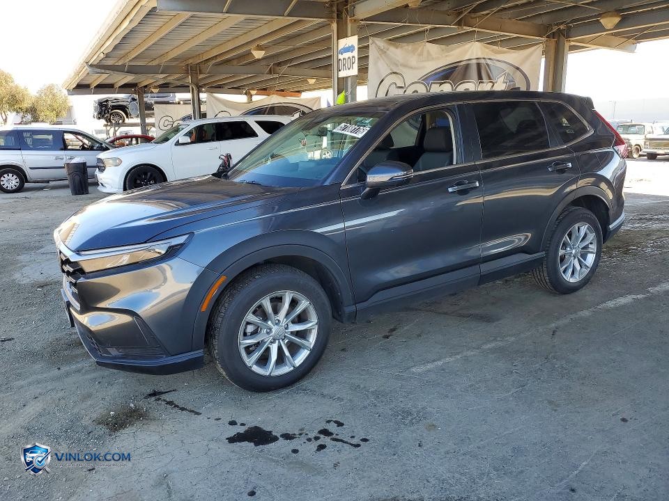 2024 HONDA CR-V EX – Lot 57188176 auction photo
