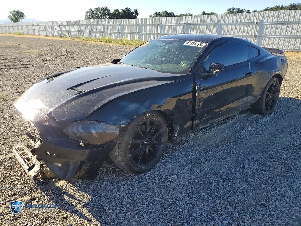 2019 FORD MUSTANG – Lot 57191326 auction photo