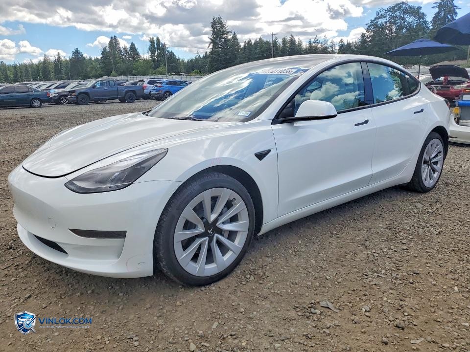 2023 TESLA MODEL 3 – Lot 57211856 auction photo