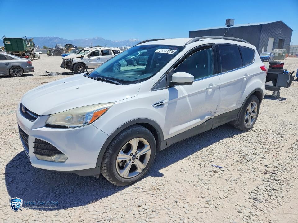 2014 FORD ESCAPE SE – Lot 57231316 auction photo