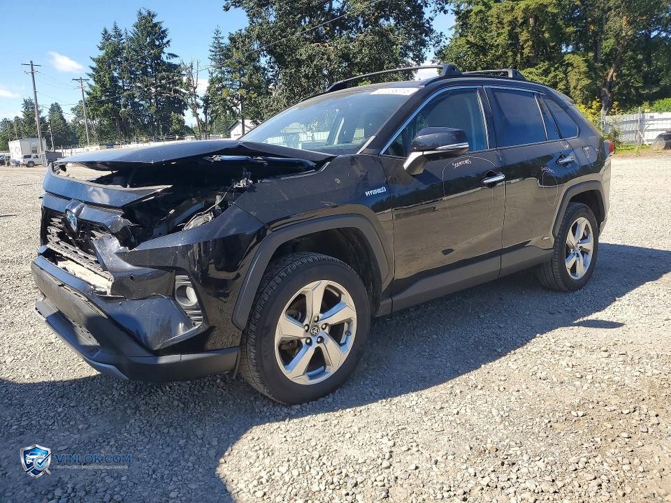 2019 TOYOTA RAV4 LIMITED – Lot 57238316 auction photo