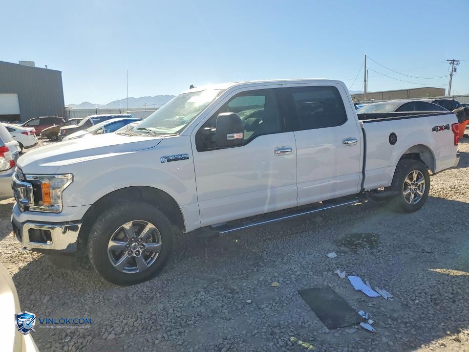 2019 FORD F150 SUPERCREW – Lot 57240436 auction photo