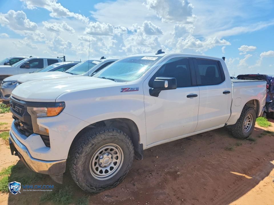 2023 CHEVY SILVERADO-R&D-CLN TITLE-PRI FLEET – Lot 57275506 auction photo