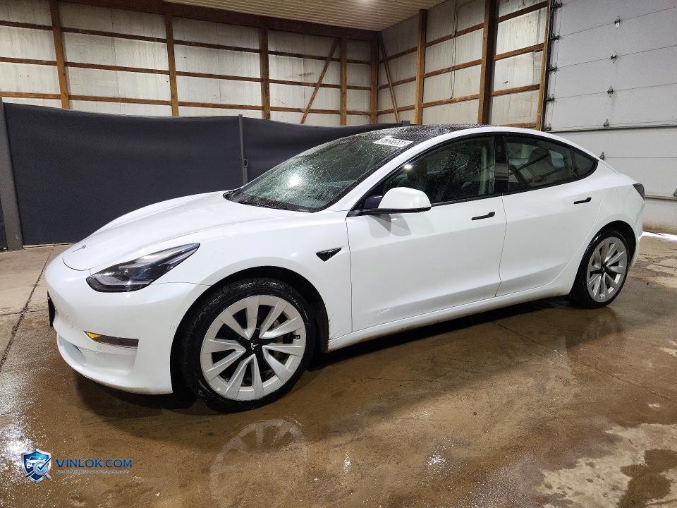 2022 TESLA MODEL 3 – Lot 57337556 auction photo