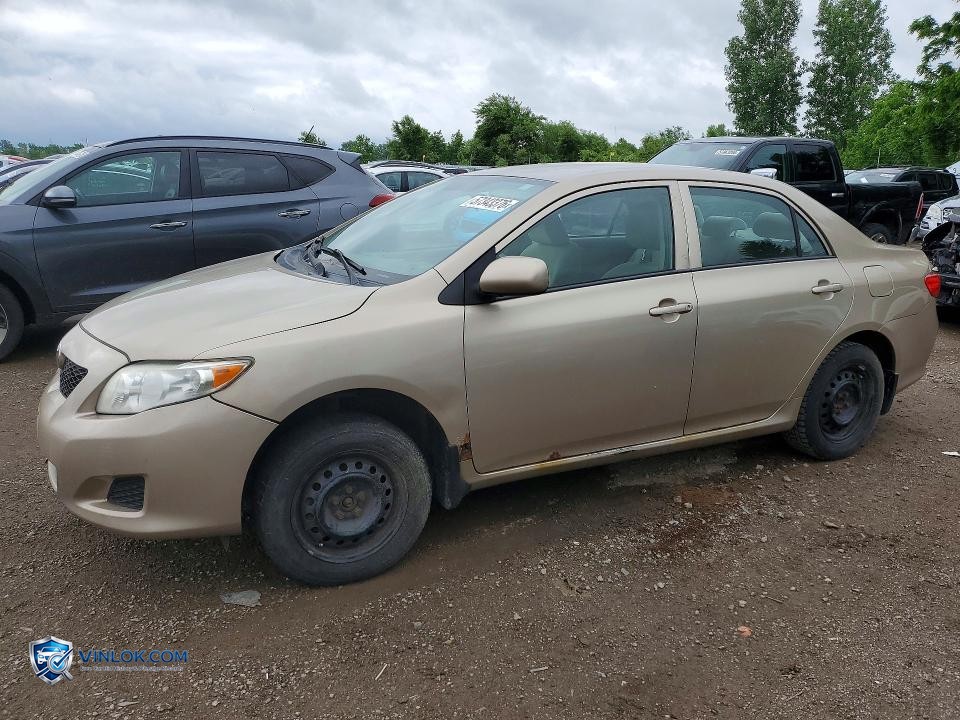 2010 TOYOTA COROLLA BASE – Lot 57343376 auction photo