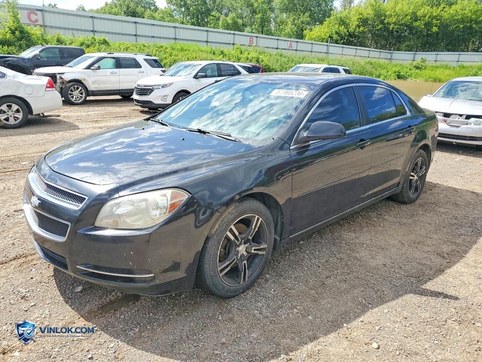2011 CHEVROLET MALIBU 1LT – Lot 57385236 auction photo