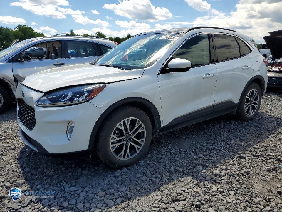 2020 FORD ESCAPE SEL – Lot 57396036 auction photo