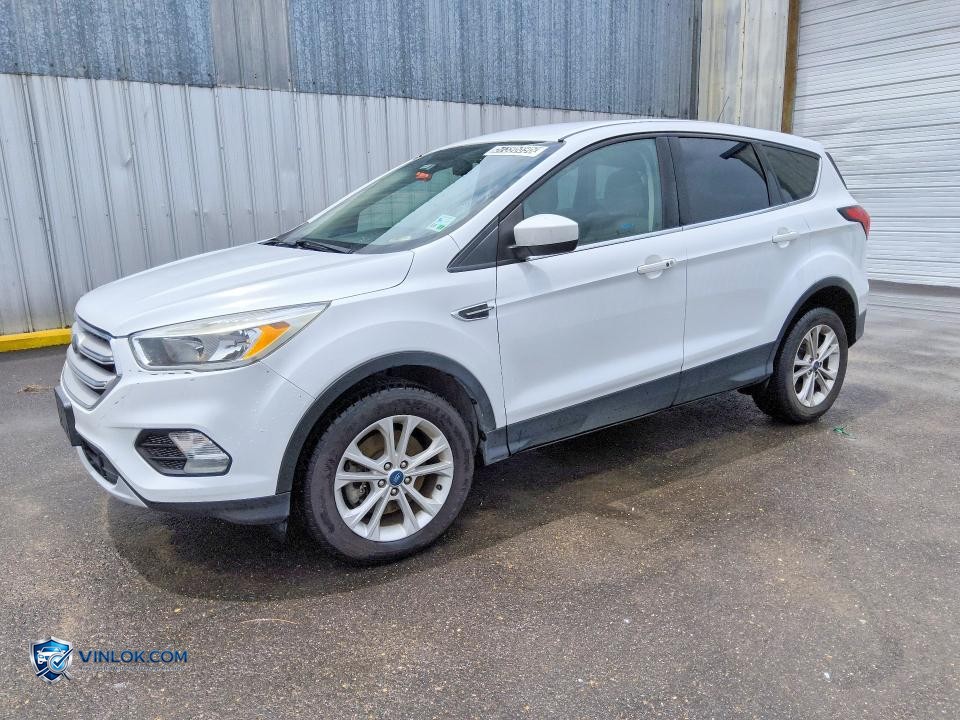 2019 FORD ESCAPE SE – Lot 57396896 auction photo