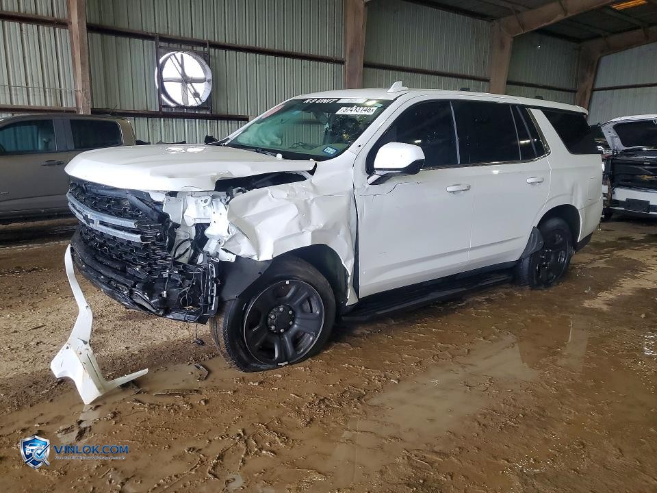 2023 CHEVROLET TAHOE C1500 – Lot 57413146 auction photo