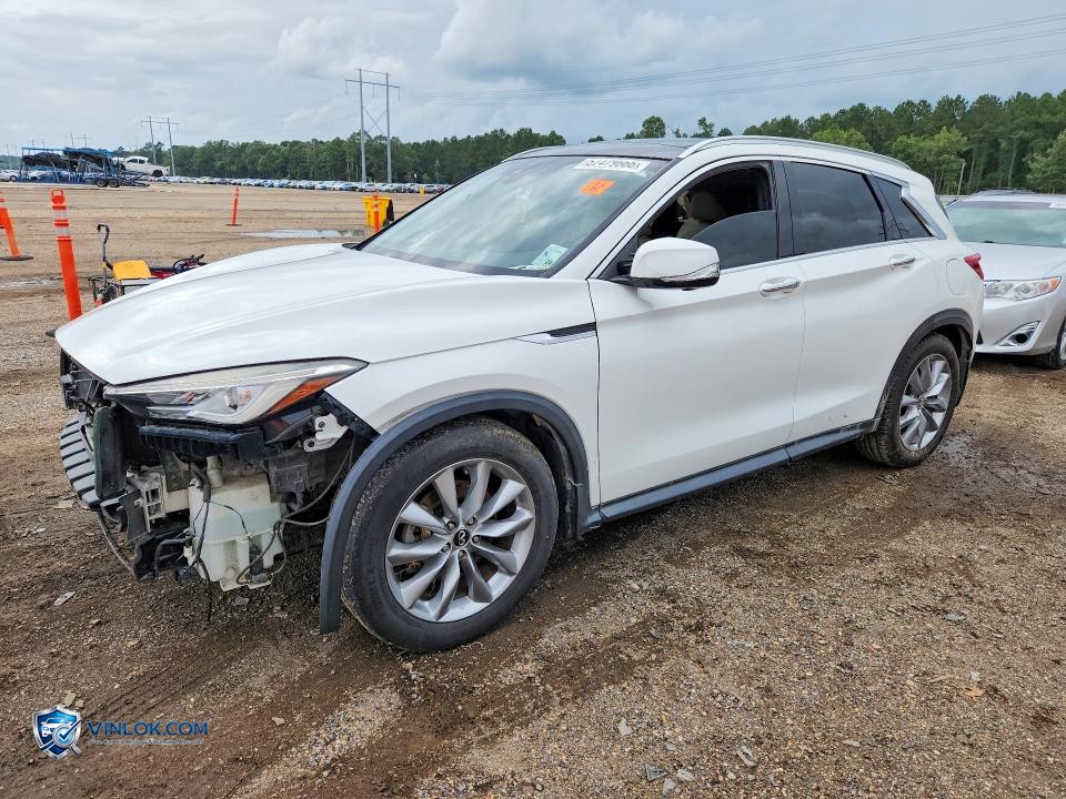 2019 INFINITI QX50 ESSENTIAL – Lot 57479666 auction photo