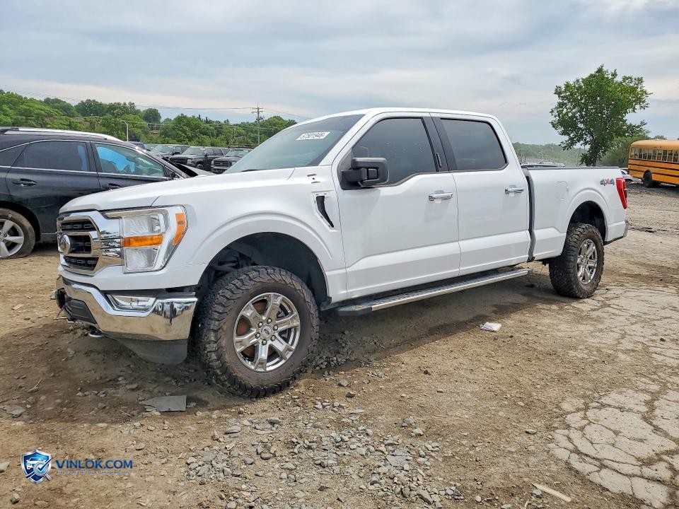 2021 FORD F150 SUPERCREW – Lot 57501946 auction photo