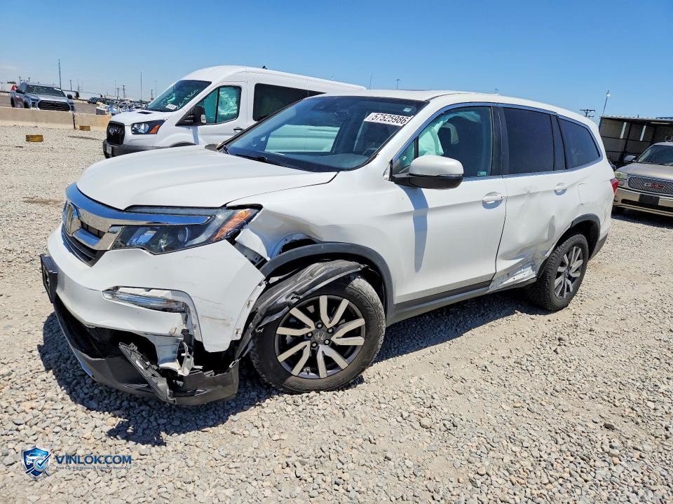 2021 HONDA PILOT EXL – Lot 57525986 auction photo