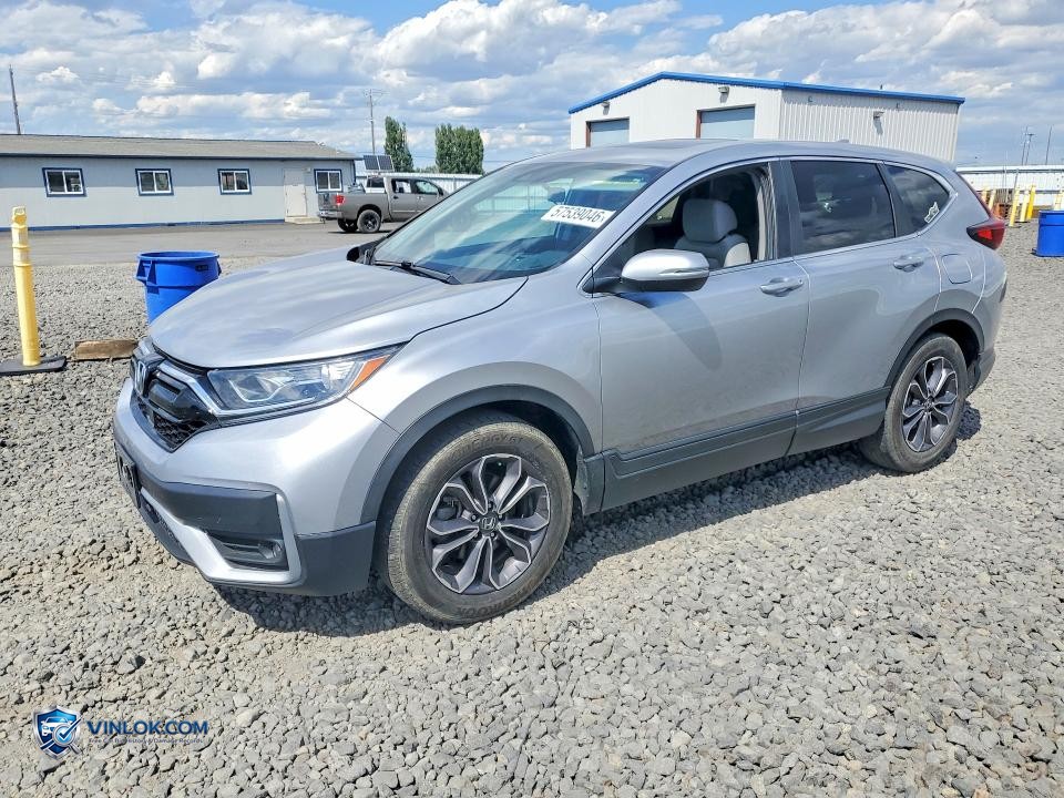 2020 HONDA CR-V EX – Lot 57539046 auction photo