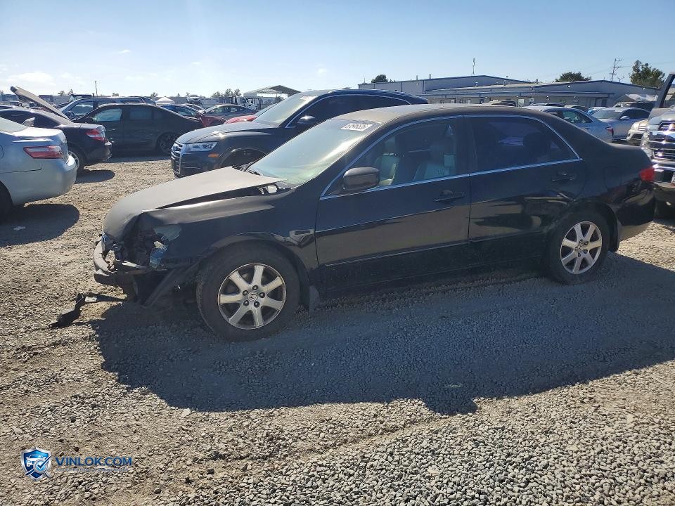 2005 HONDA ACCORD EX – Lot 57546526 auction photo