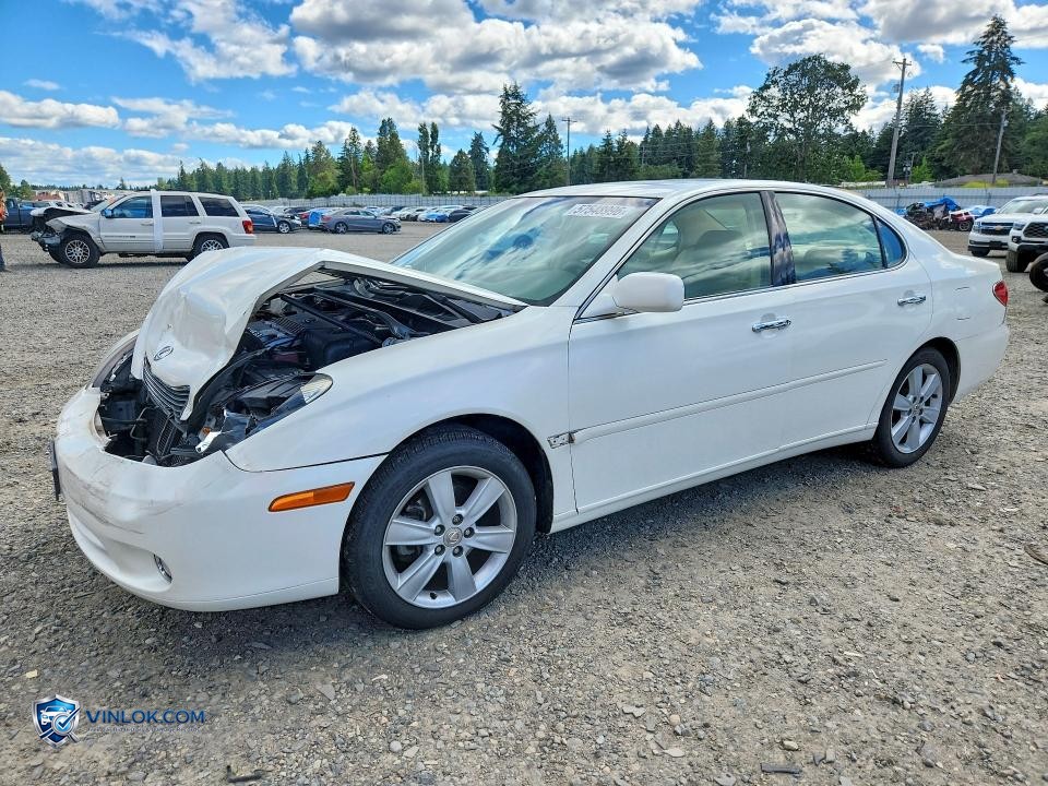 2006 LEXUS ES 330 – Lot 57548996 auction photo