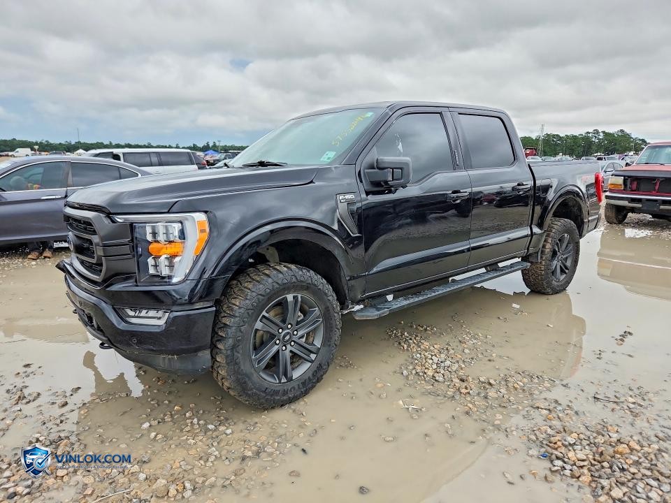 2023 FORD F150 SUPERCREW – Lot 57552296 auction photo