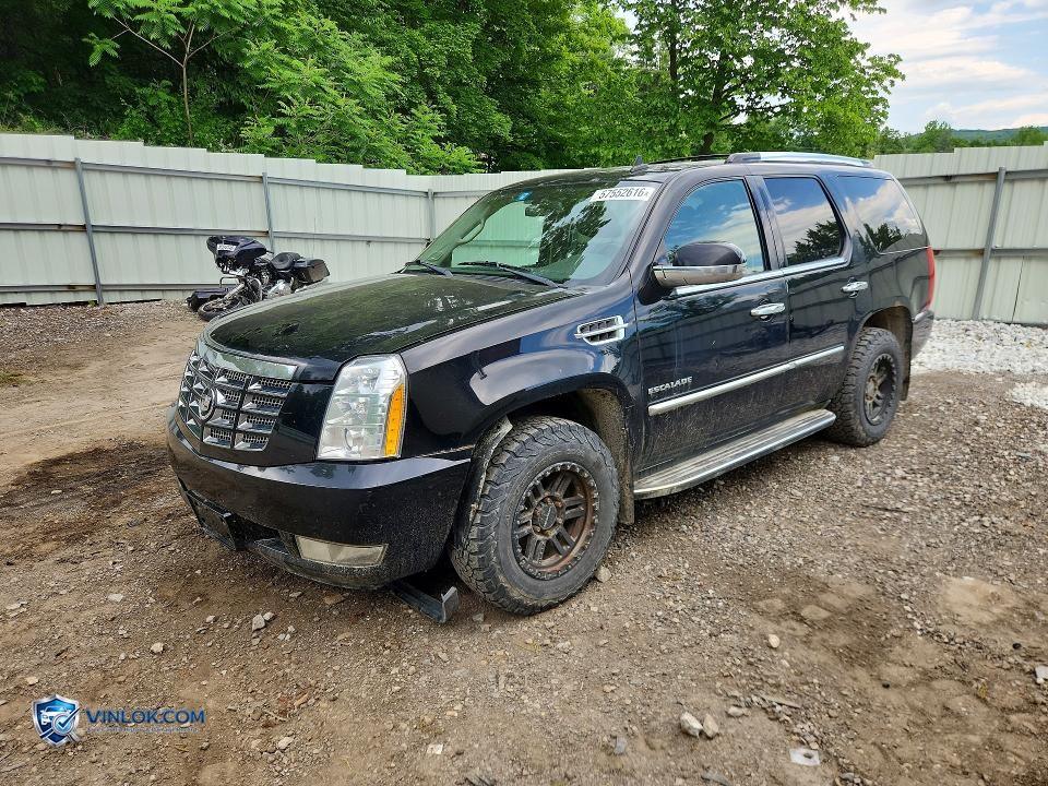 2011 CADILLAC ESCALADE LUXURY – Lot 57552616 auction photo