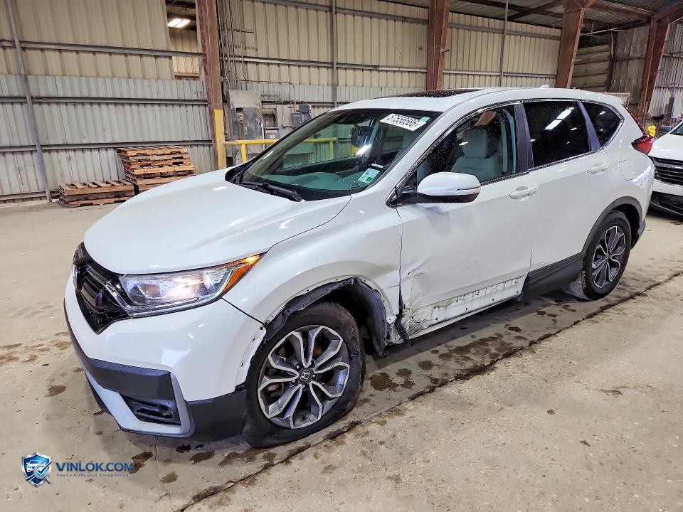 2022 HONDA CR-V EX – Lot 57556586 auction photo