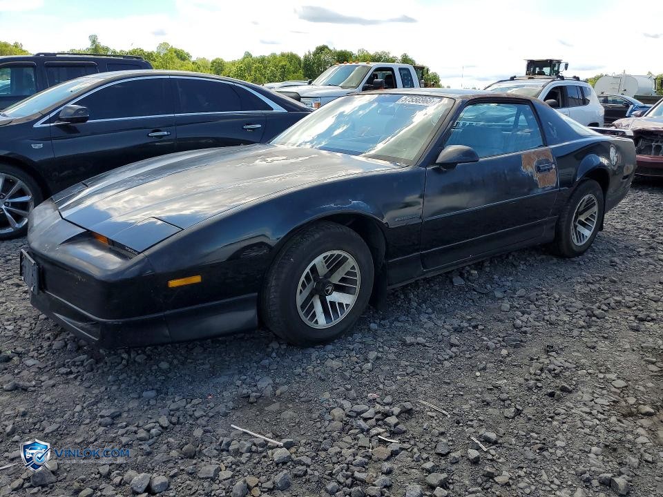 1990 PONTIAC FIREBIRD – Lot 57556966 auction photo