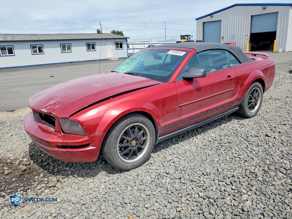 2005 FORD MUSTANG – Lot 57599916 auction photo