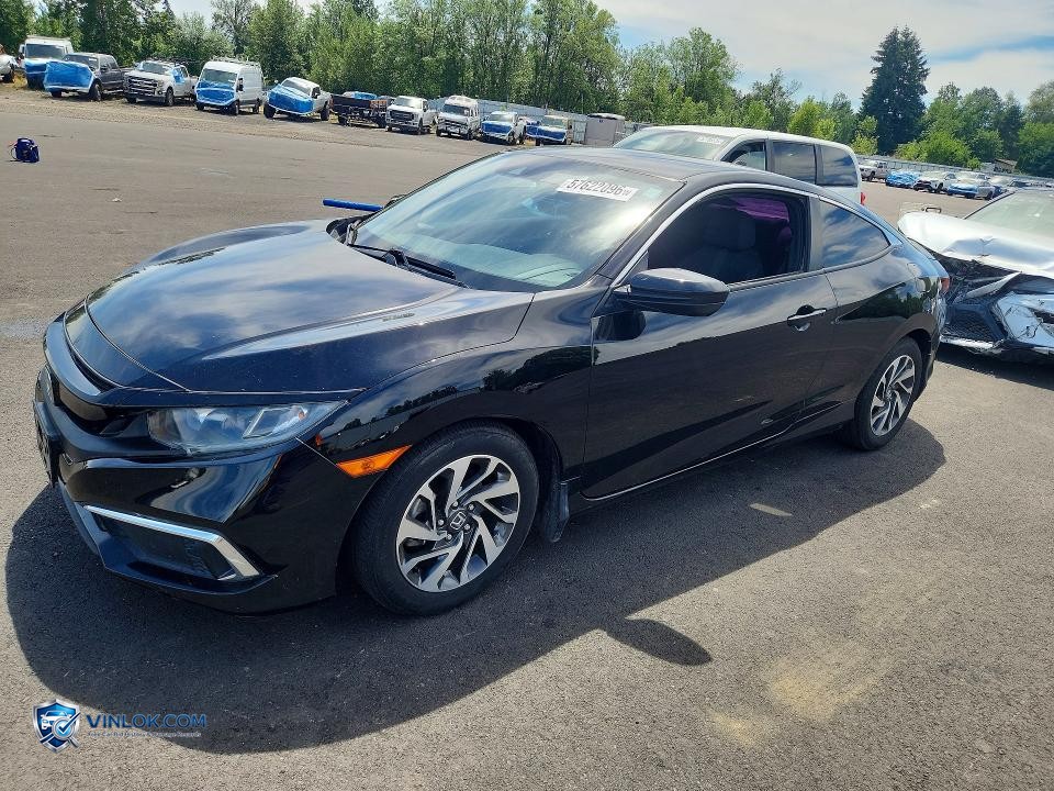 2019 HONDA CIVIC LX – Lot 57622096 auction photo