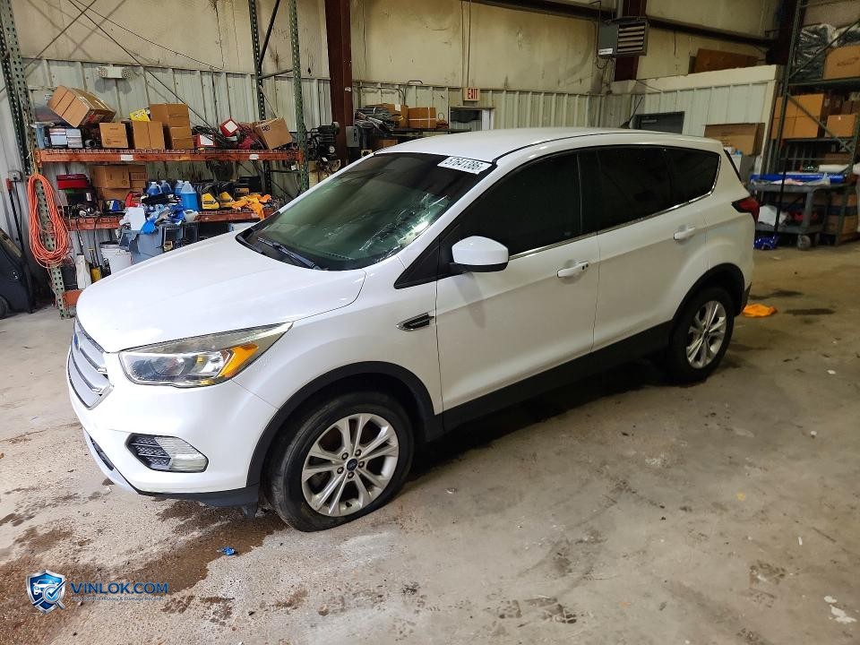 2019 FORD ESCAPE SE – Lot 57641386 auction photo