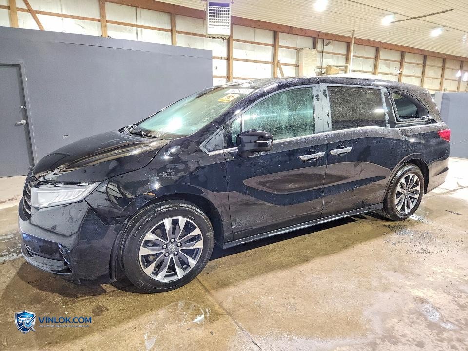 2024 HONDA ODYSSEY EXL – Lot 57642086 auction photo