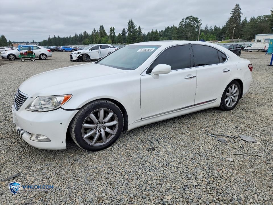 2007 LEXUS LS 460 – Lot 57668506 auction photo