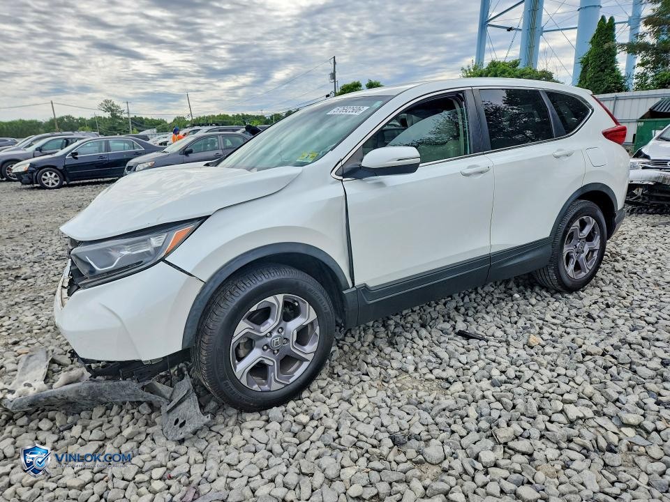 2019 HONDA CR-V EXL – Lot 57692506 auction photo