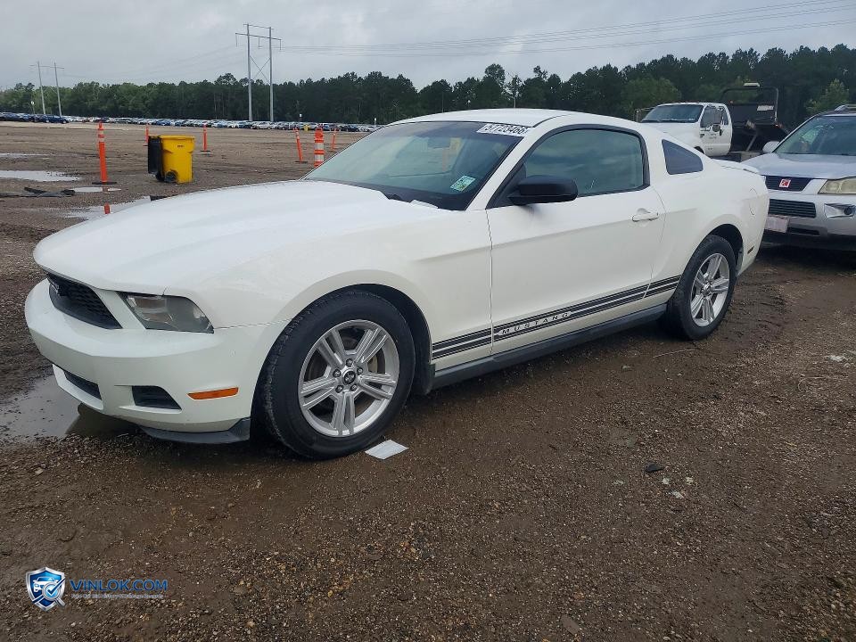 2010 FORD MUSTANG – Lot 57723466 auction photo