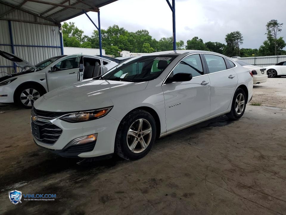 2023 CHEVROLET MALIBU LS – Lot 57727266 auction photo