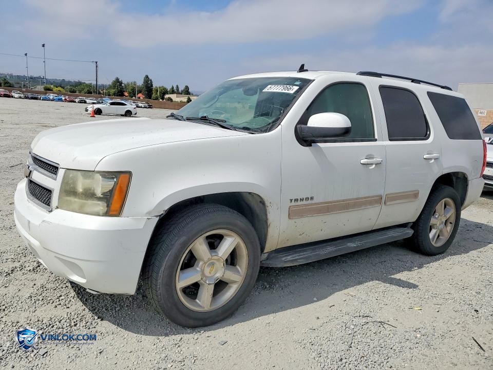 2010 CHEVROLET TAHOE C1500 LS – Lot 57777966 auction photo