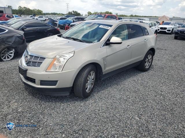 2010 CADILLAC SRX LUXURY COLLECTION – Lot 57808486 auction photo