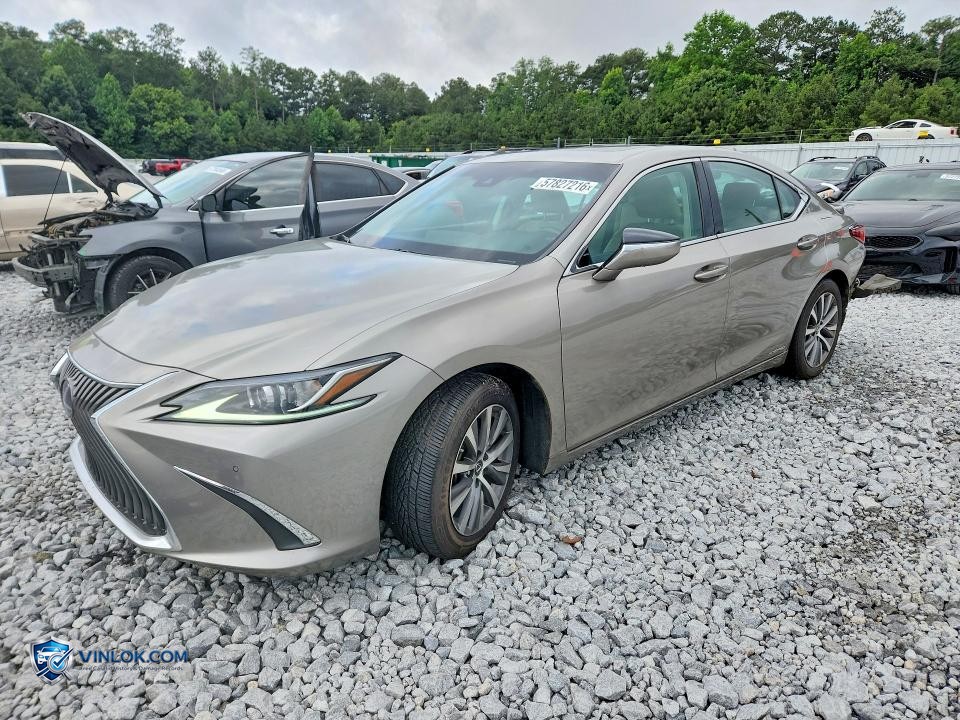 2021 LEXUS ES 300H – Lot 57827216 auction photo