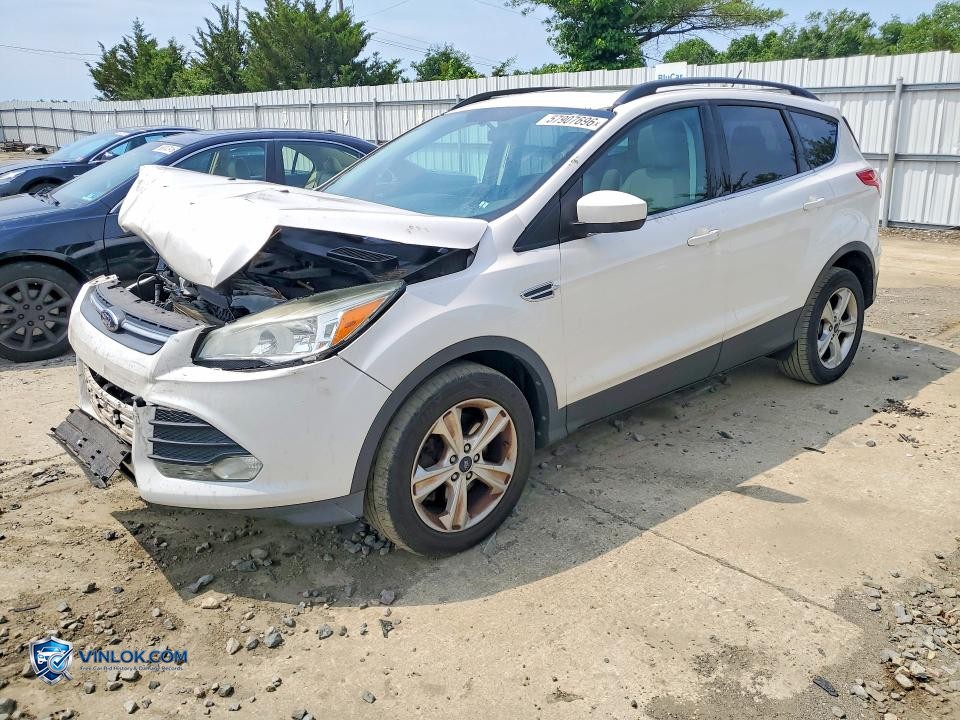 2014 FORD ESCAPE SE – Lot 57907696 auction photo