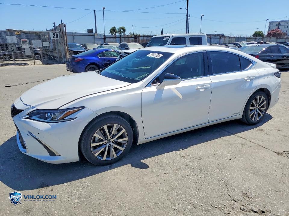 2021 LEXUS ES 300H BASE – Lot 57927296 auction photo