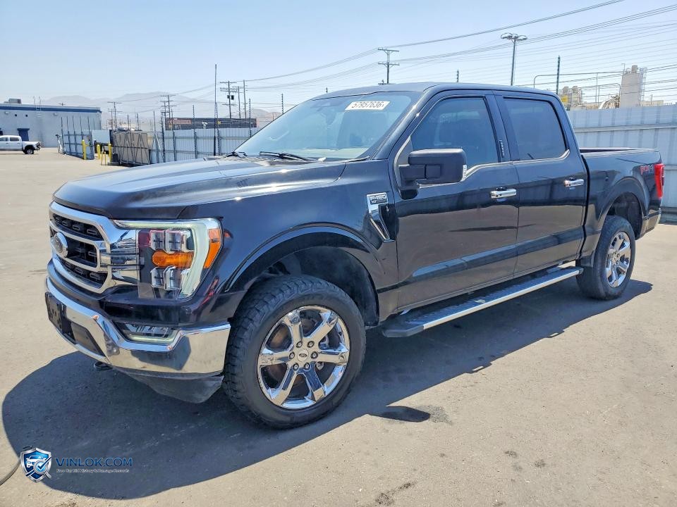 2023 FORD F150 SUPERCREW – Lot 57957636 auction photo