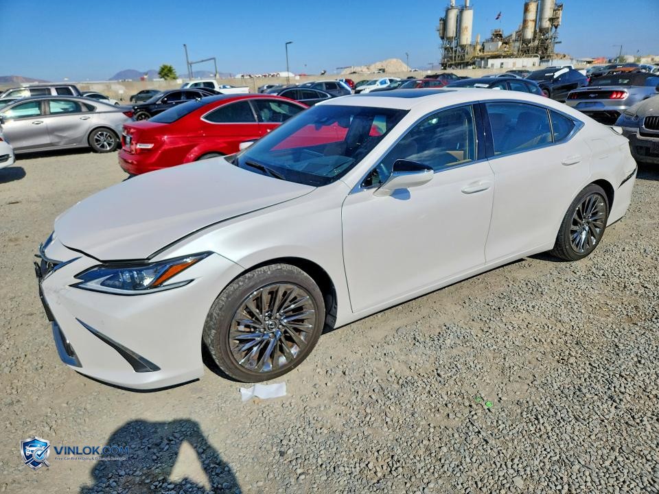 2025 LEXUS ES 350 LUXURY – Lot 57994836 auction photo