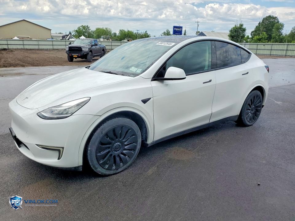 2023 TESLA MODEL Y – Lot 58012546 auction photo