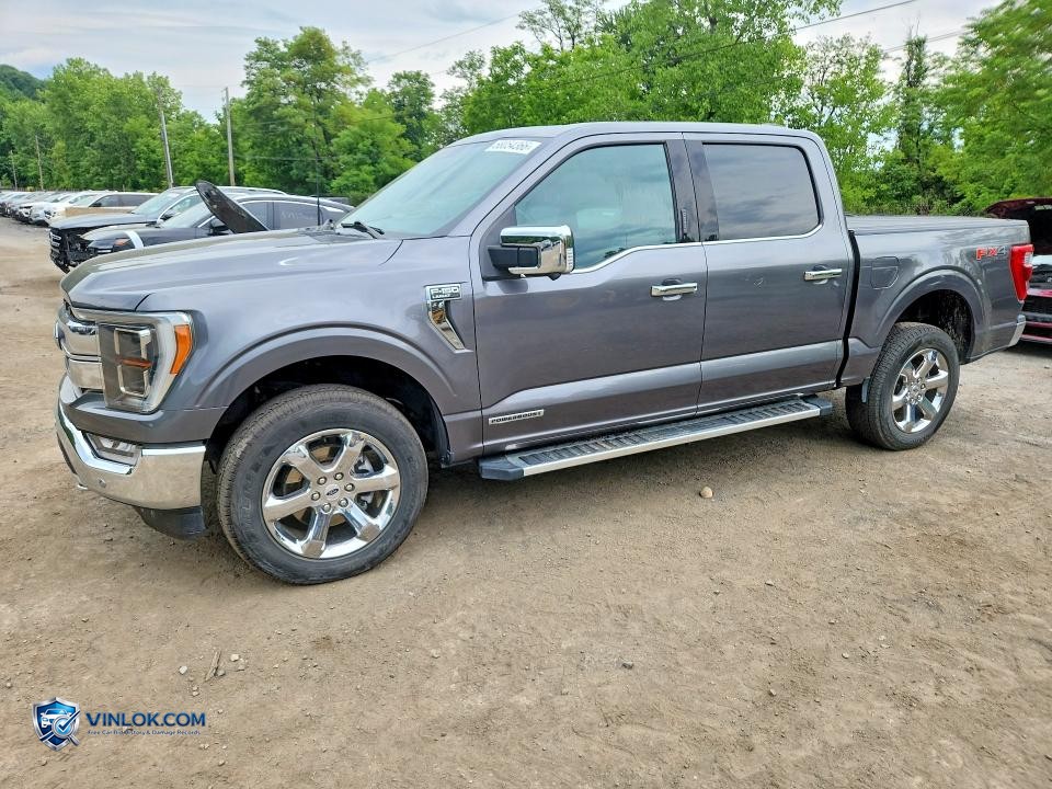 2023 FORD F150 SUPERCREW – Lot 58054366 auction photo