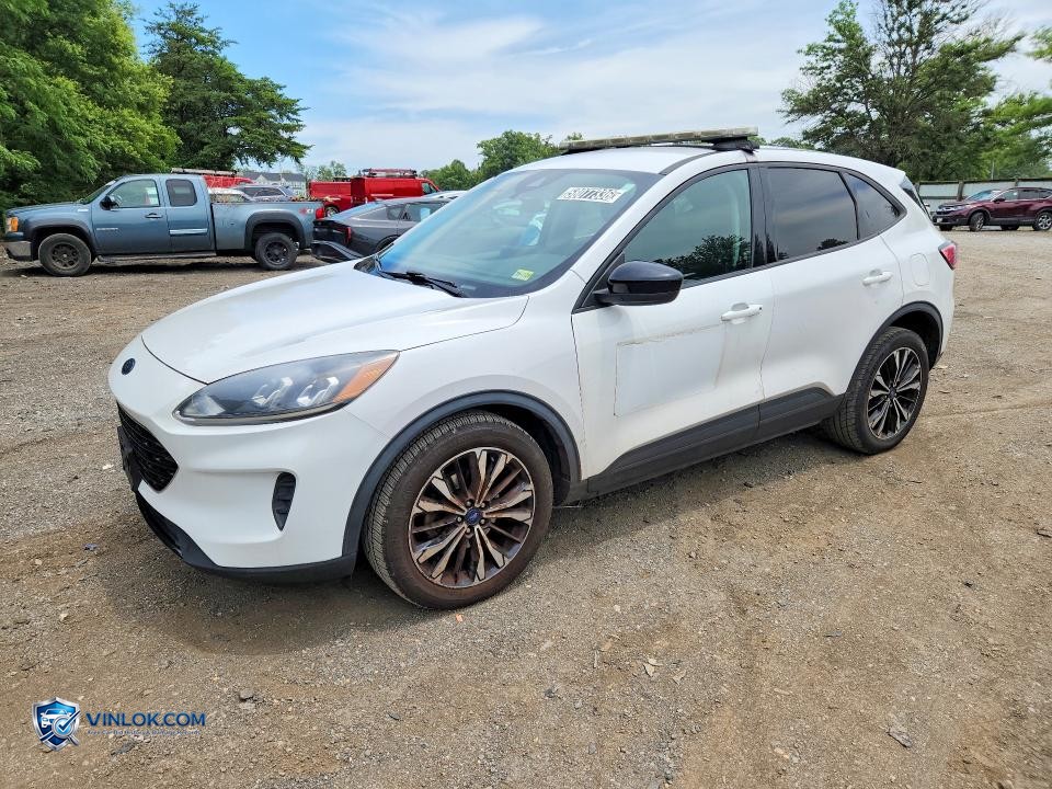 2022 FORD ESCAPE SE – Lot 58077336 auction photo