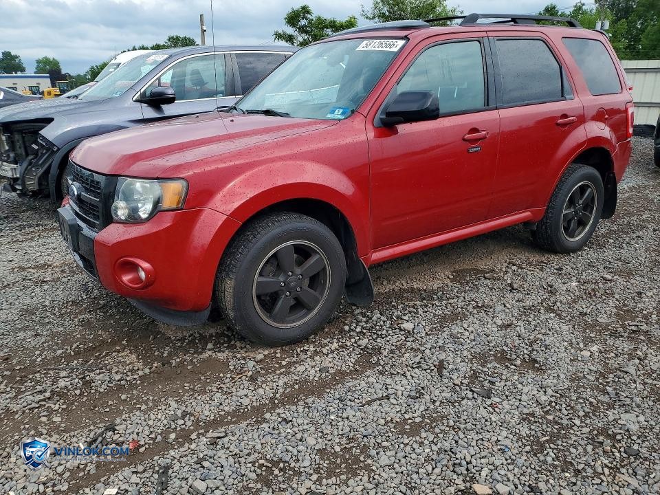 2010 FORD ESCAPE XLT – Lot 58126566 auction photo