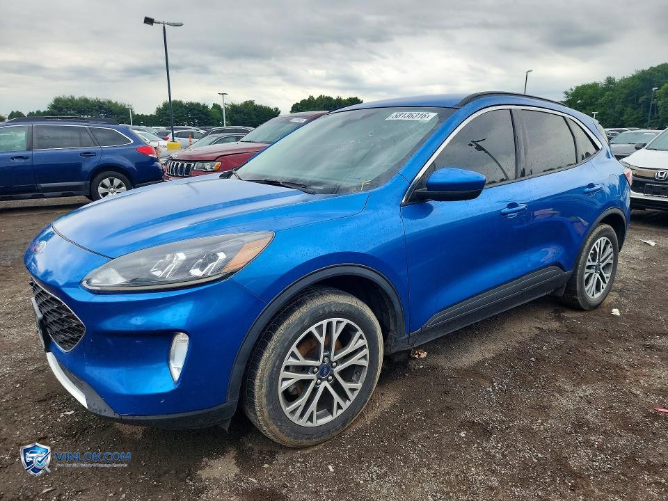 2021 FORD ESCAPE SEL – Lot 58136316 auction photo