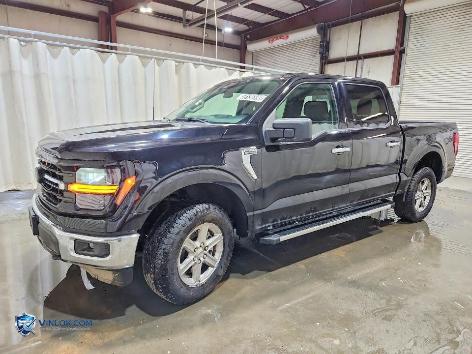 2025 FORD F150 XLT – Lot 58136596 auction photo
