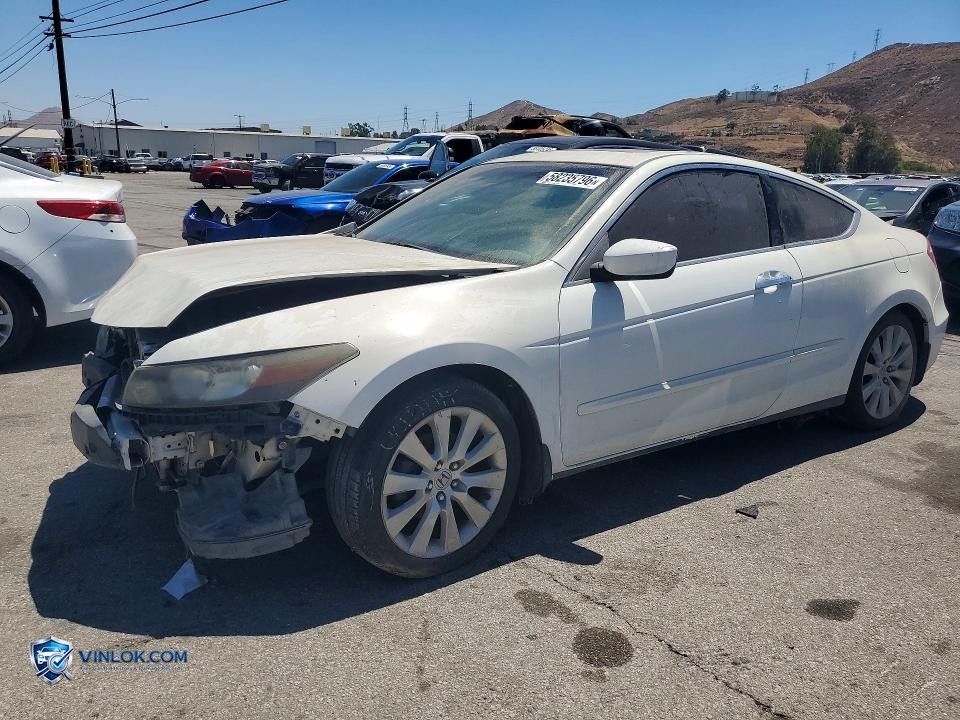 2010 HONDA ACCORD EXL – Lot 58235796 auction photo