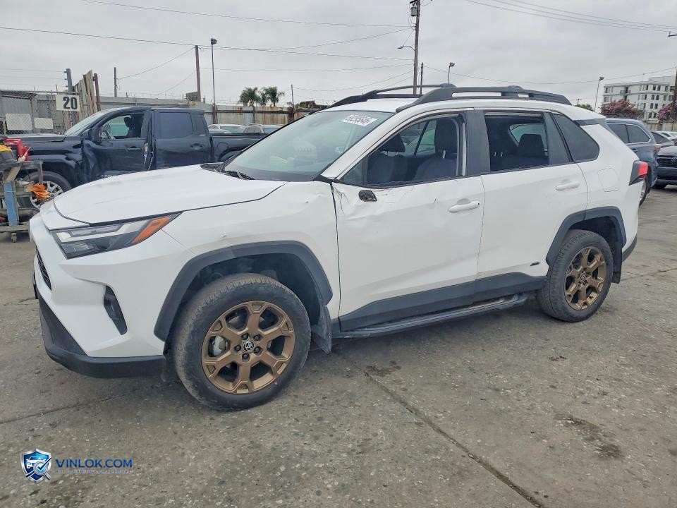 2023 TOYOTA RAV4 WOODLAND EDITION – Lot 58295646 auction photo